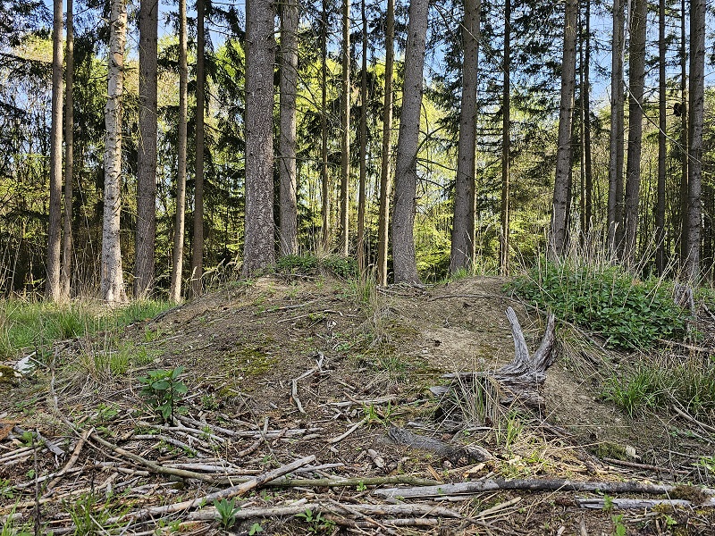 Barrow Cemetery Dražičky