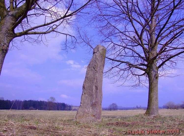 Click for full size image of Zbudov Menhirs (PID:38583) Zbudov Menhirs