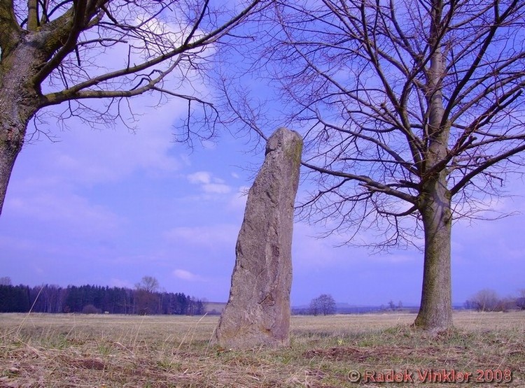 Zbudov Menhirs