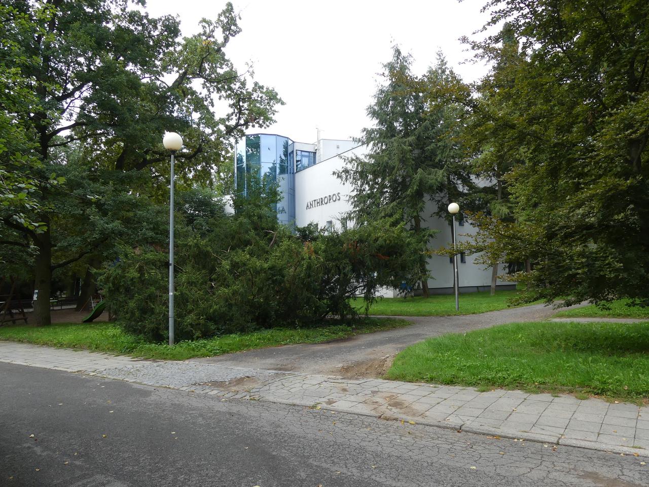 Anthropos Pavilion (PID:203333) Anthropos Pavilion