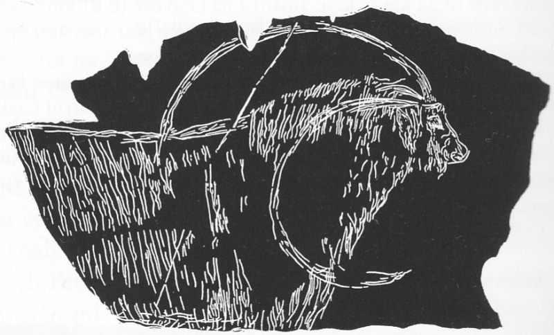 Click for full size image of Děravá Cave (PID:144695) Děravá Cave