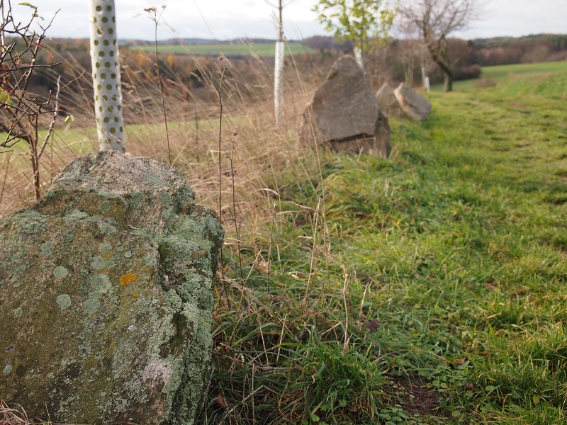 Bylany stone row