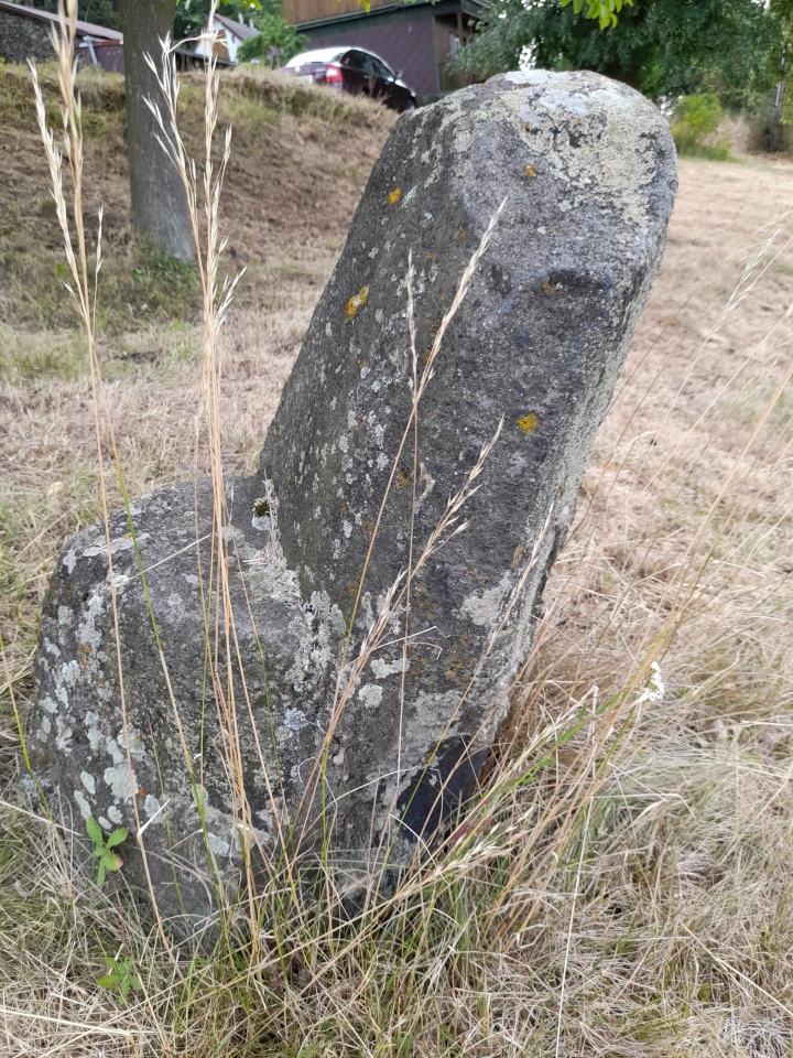 Click for full size image of Blešno (PID:274652) Blešno