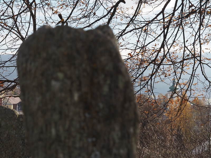 Volary Menhirs