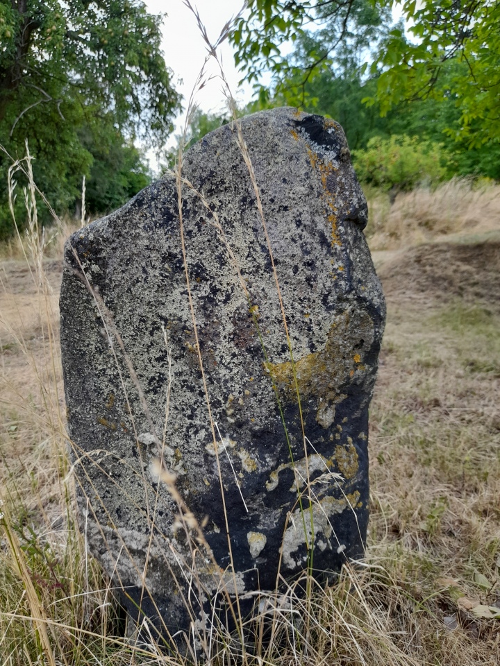 Blešno (PID:274653) Blešno