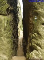 Click for full size image of Drabske svetnicky (PID:35489) Drabske svetnicky