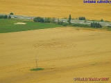 Click for full size image of Drabske svetnicky (PID:35497) Drabske svetnicky