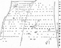 Kounov Allignments - PID:24522