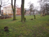 Crosses in Smetana Park