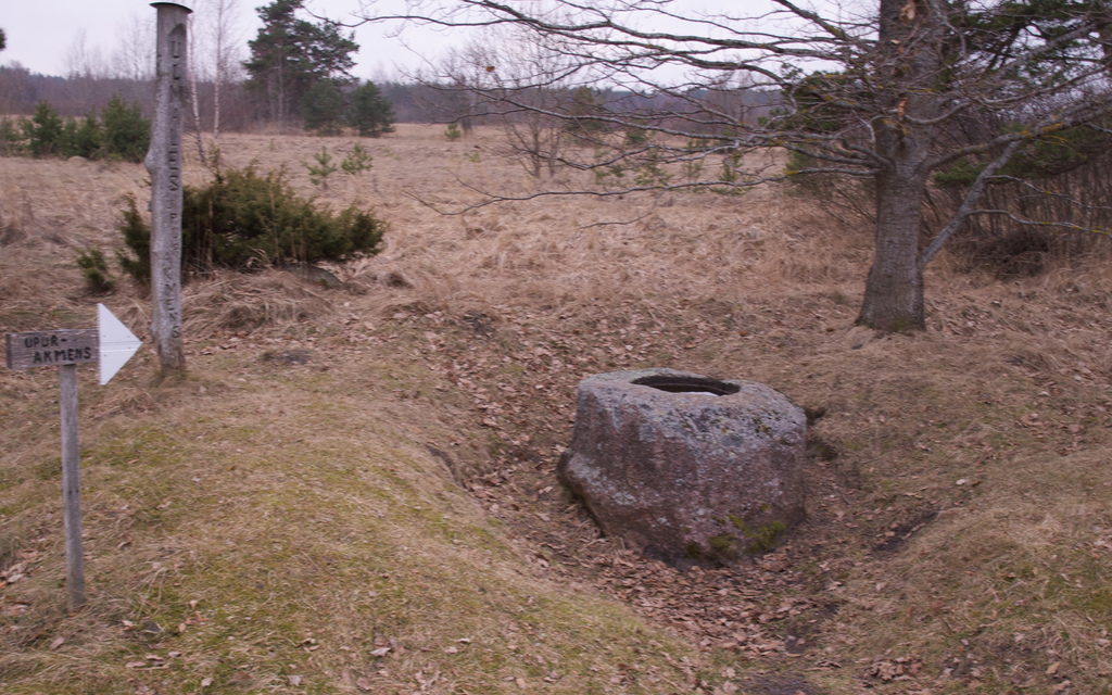 Ulmales upurakmens (PID:135335) Ulmales upurakmens