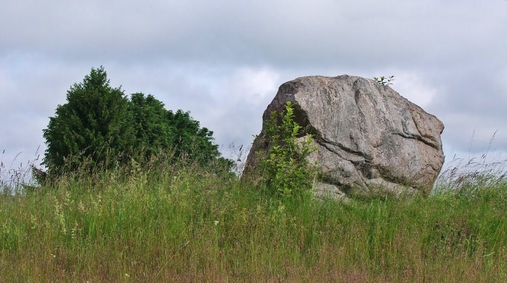 Vardžiukiemio akmuo (PID:146738) Vardžiukiemio akmuo