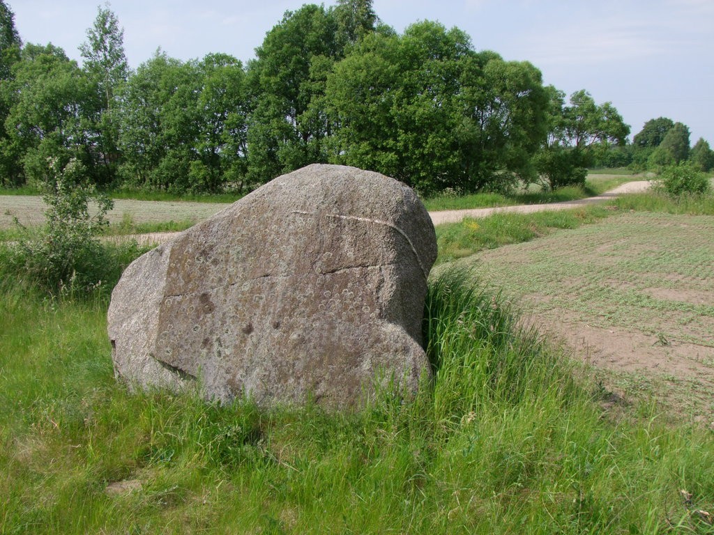 Click for full size image of Mantviliškų akmuo (PID:137996) Mantviliškų akmuo
