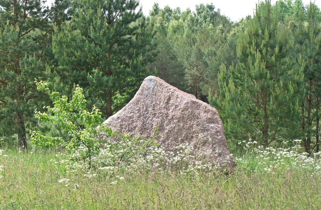 Medomiškių akmuo