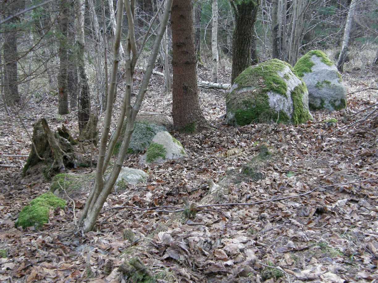 Borecka Forest Alignment