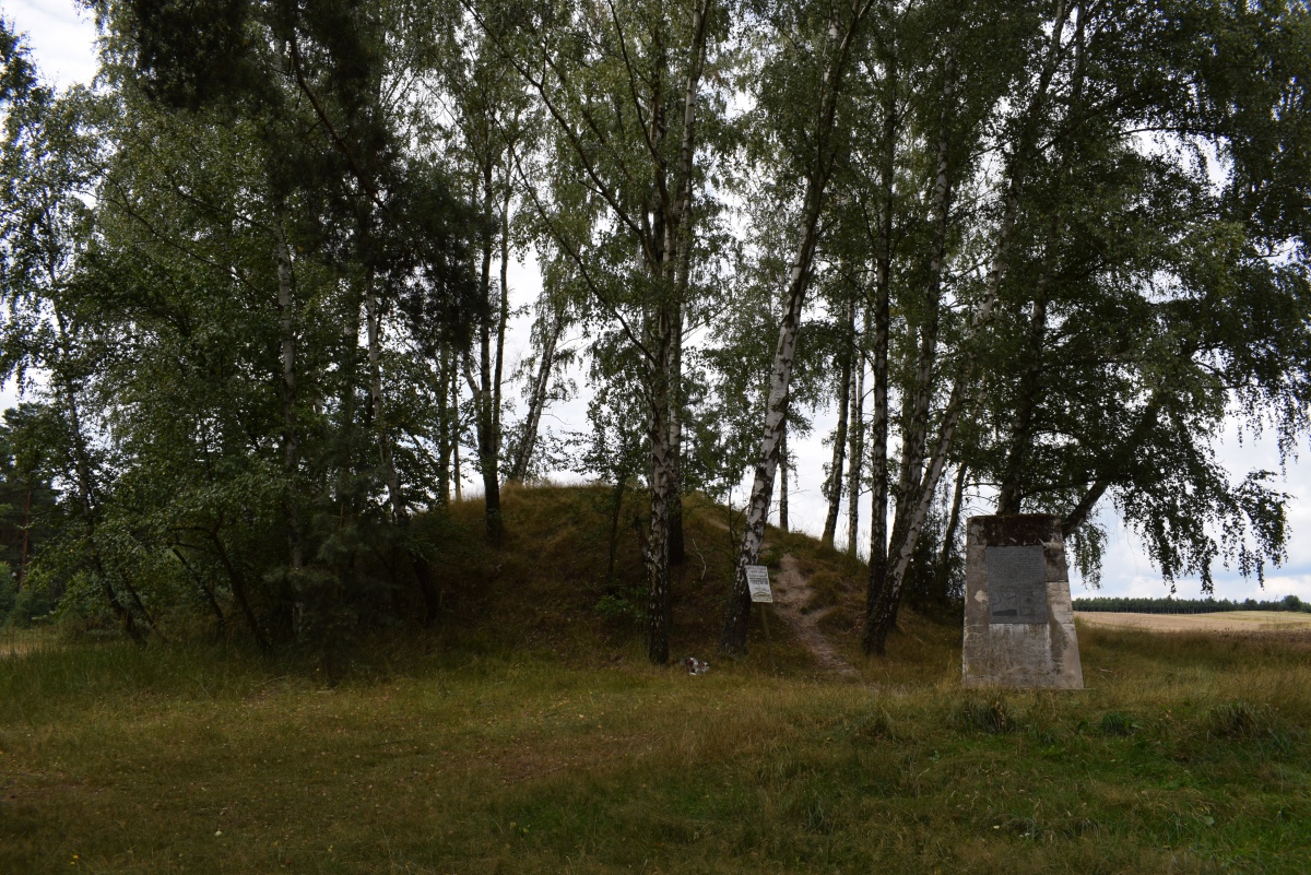 Click for full size image of Kurhany Przywóz (PID:230059) Kurhany Przywóz