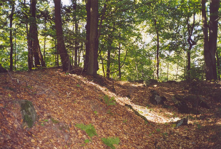 Site in Swietokrzyskie Poland.
Dobrzeszowska Góra - part of an earthwork.
