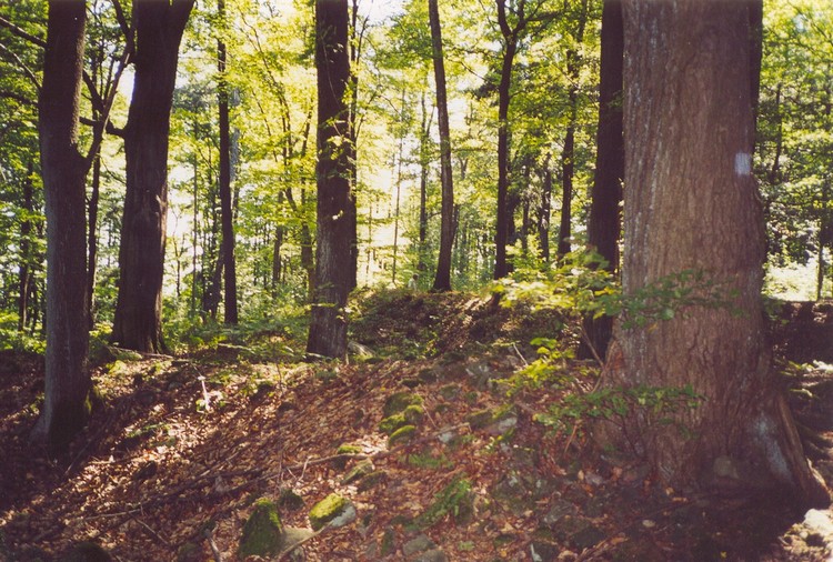 Dobrzeszowska Góra (PID:48922) Dobrzeszowska Góra