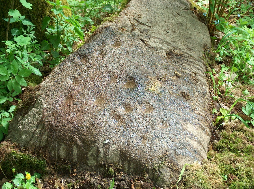 Borki Cup-Marked Stone (PID:162321) Borki Cup-Marked Stone