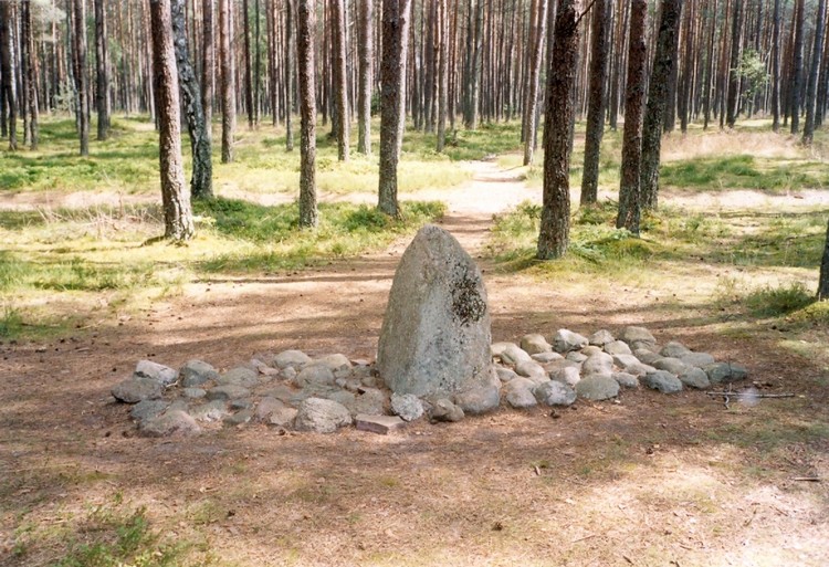 Click for full size image of Grzybnica (PID:71231) Grzybnica