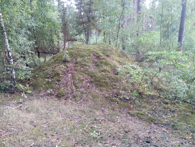 Click for full size image of Kurhany Krzętle (PID:187702) Kurhany Krzętle