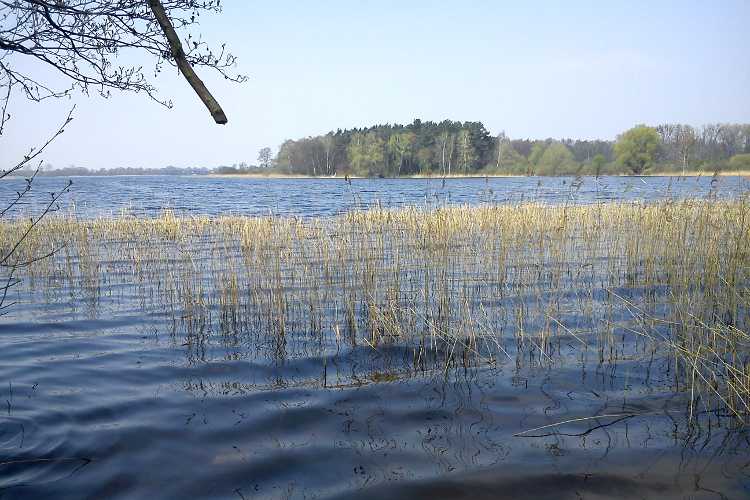 Grodzisko Myślibórz