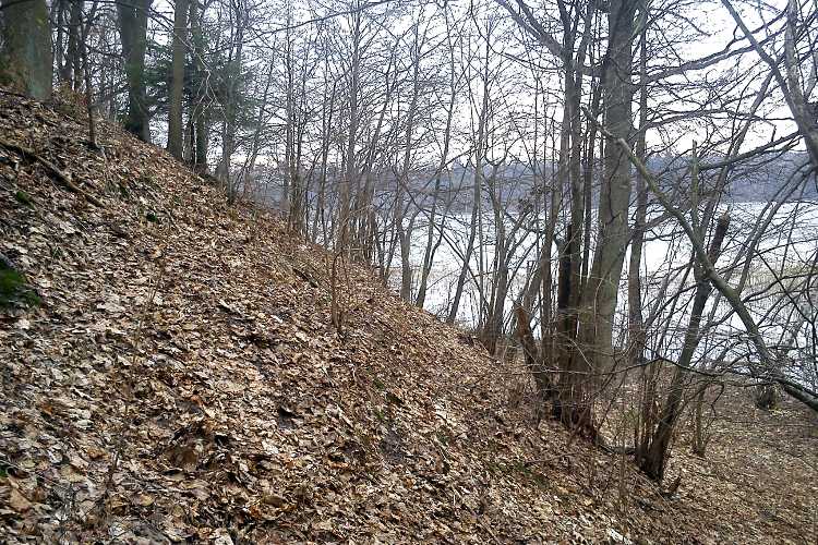Grodzisko Smoliniec (PID:74514) Grodzisko Smoliniec