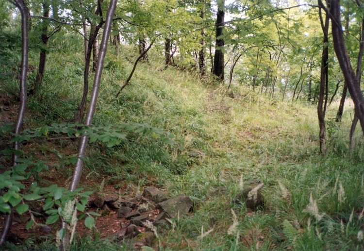 Palenica Earthwork (PID:70405) Palenica Earthwork