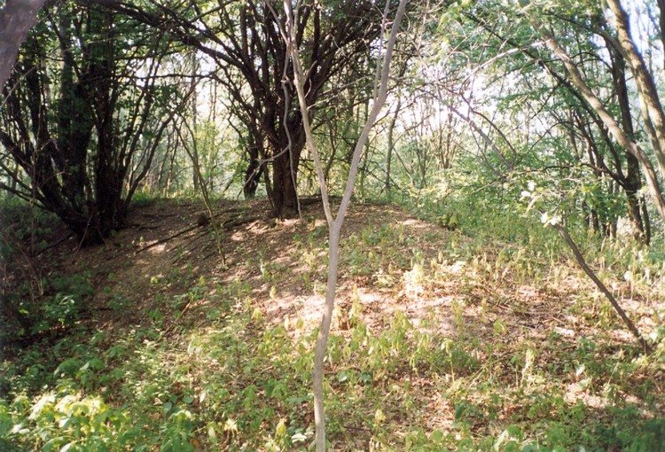 Click for full size image of Grodzisko Oborniki Śląskie (PID:70408) Grodzisko Oborniki Śląskie