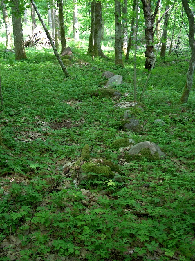 Borki Stone Circle (1) (PID:162318) Borki Stone Circle (1)