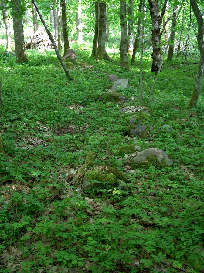 Borki Stone Circle (1)