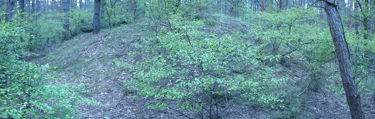 Click for full size image of Kurhany Oleśniczka (PID:76522) Kurhany Oleśniczka