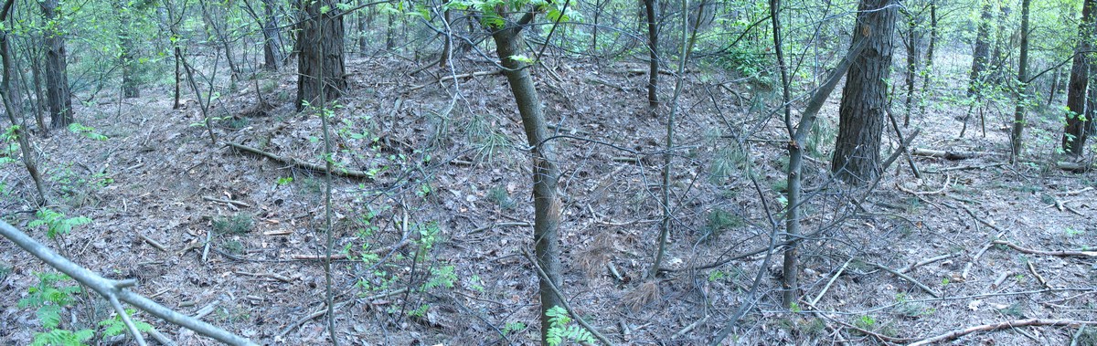 Click for full size image of Kurhany Oleśniczka (PID:76523) Kurhany Oleśniczka