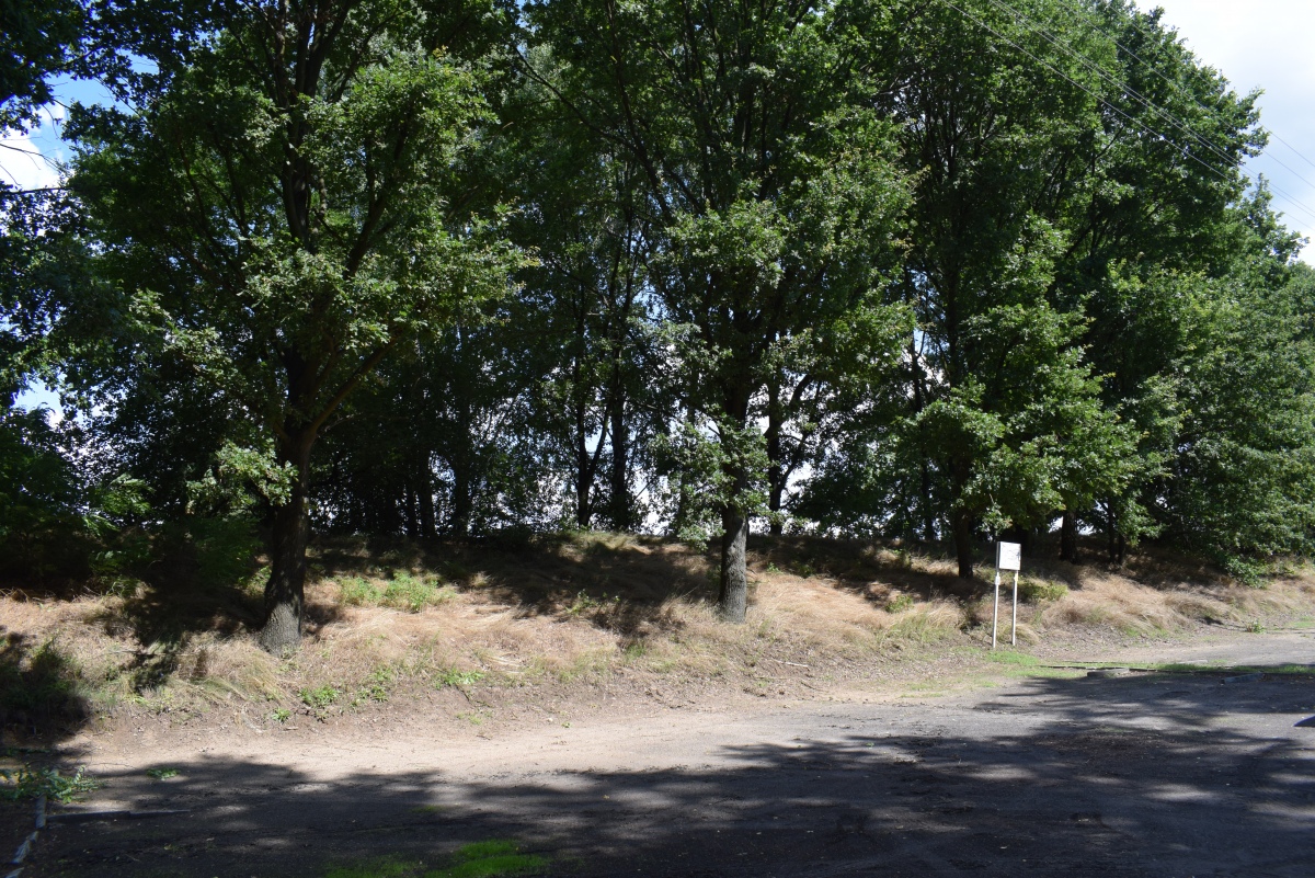 Click for full size image of Grodzisko Podzamcze (PID:230061) Grodzisko Podzamcze