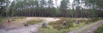 Click for full size image of Grzybnica (PID:22103) Grzybnica