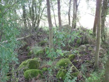 Dzierzg�wek Barrow Cemetery - PID:64197
