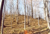 Click for full size image of Grodzisko Międzyświeć (PID:40672) Grodzisko Międzyświeć
