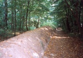 Click for full size image of Wietrzychowice Long Barrows (PID:74491) Wietrzychowice Long Barrows