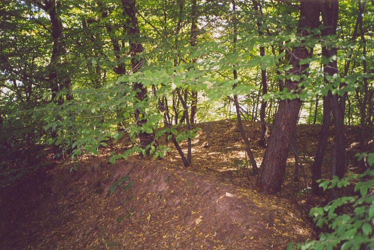 Tumlin Earthwork