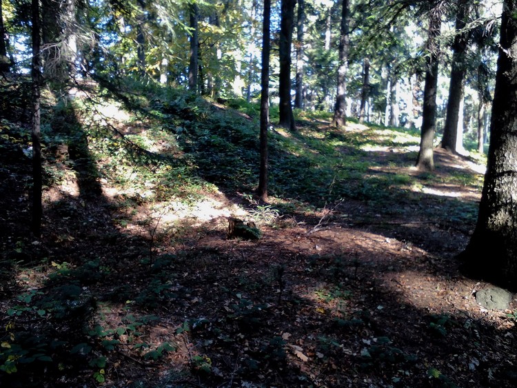 Click for full size image of Grodzisko Bugaj (PID:187582) Grodzisko Bugaj