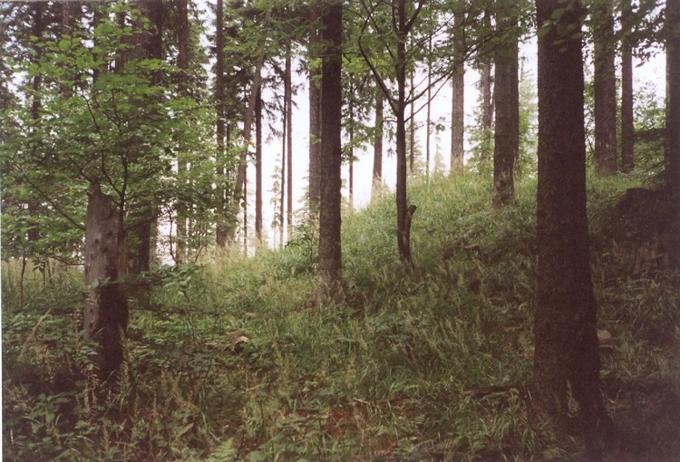 Click for full size image of Palenica Earthwork (PID:70406) Palenica Earthwork