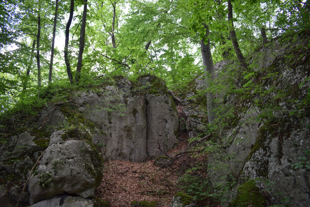 Click for full size image of Grodzisko Wały - Potok Złoty (PID:275243) Grodzisko Wały - Potok Złoty