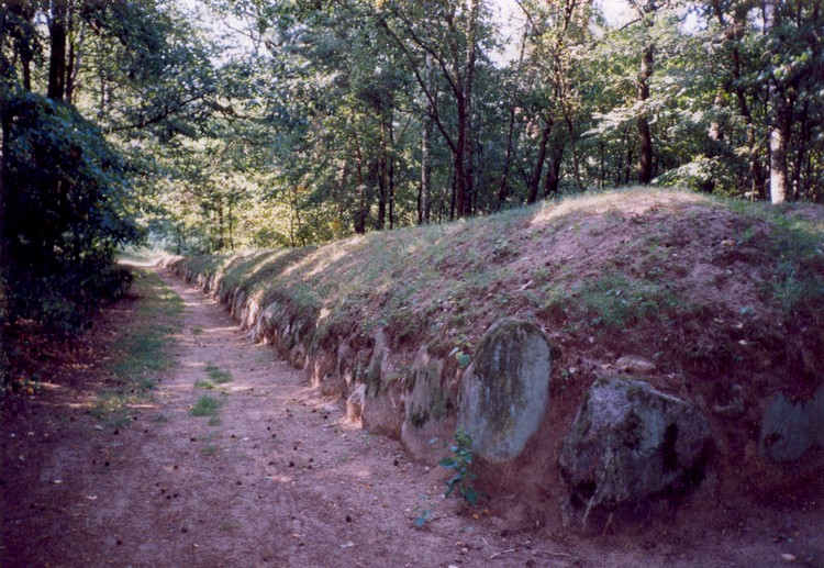 Wietrzychowice Long Barrows (PID:41528) Wietrzychowice Long Barrows