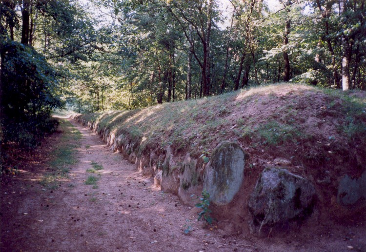 Wietrzychowice Long Barrows