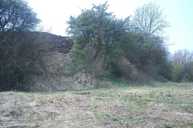 Grodzisko Myślibórz (PID:75764) Grodzisko Myślibórz