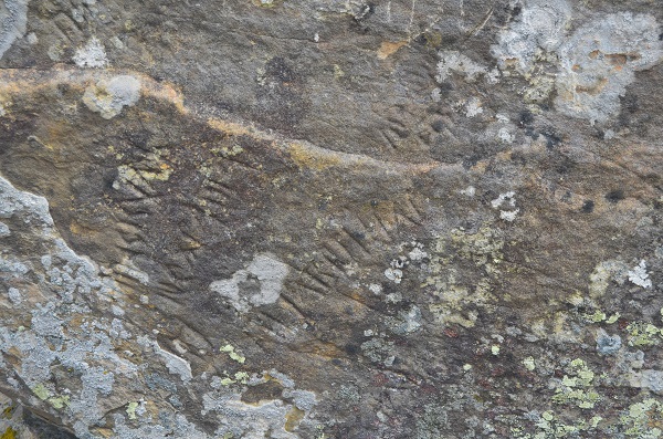 Click for full size image of Turtudui menhir (PID:156177) Turtudui menhir