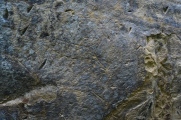 Valea Somesului Rock Art - PID:138023