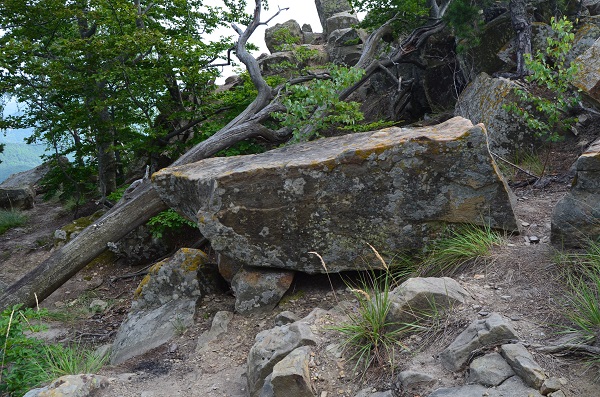 Turtudui menhir (PID:156178) Turtudui menhir