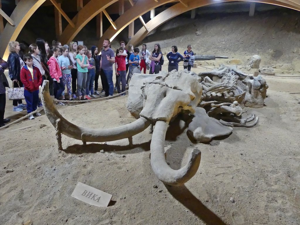 Click for full size image of Viminacium (PID:180853) Viminacium