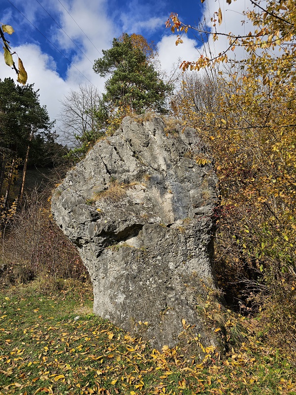 Click for full size image of Skalná päsť (PID:280676) Skalná päsť