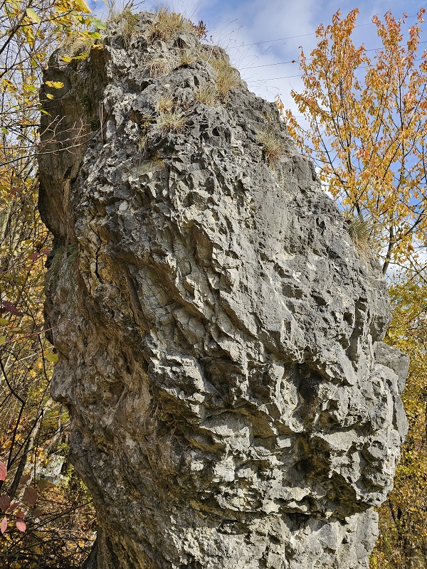 Click for full size image of Skalná päsť (PID:280679) Skalná päsť